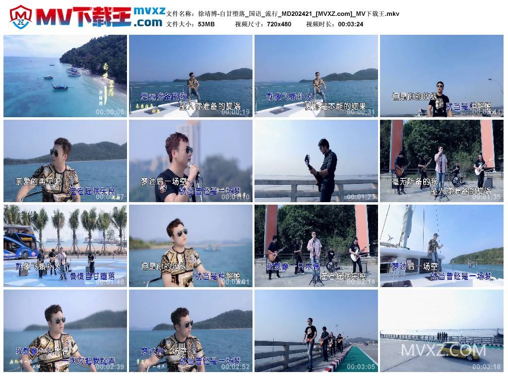 徐靖博-自甘堕落_国语_流行_MD202421